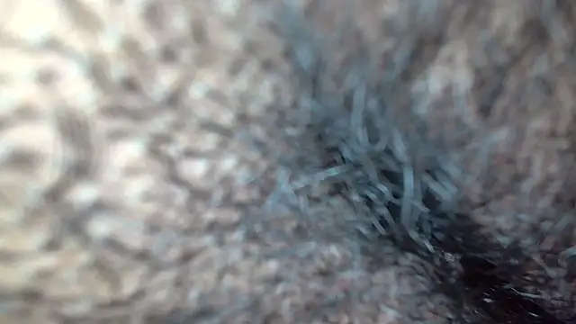 white sexy  online show from 17, 11, 2025