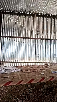 Kartik bbc indian online show from 18, 12, 2024