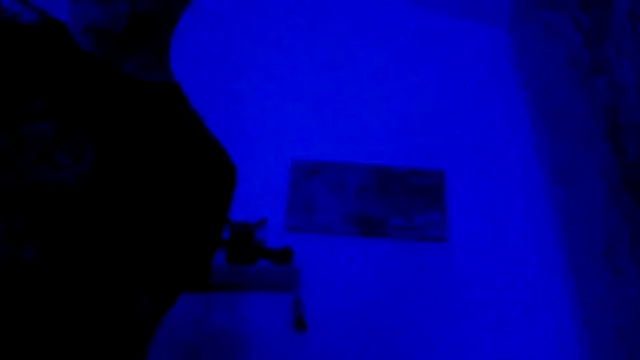 El Gizmo online show from 28, 2, 2026