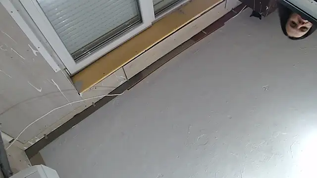 Snapshot of CRISTIINA37 chatting on 1, 12, 2025 CRISTIINA37 online show from 1, 12, 2025