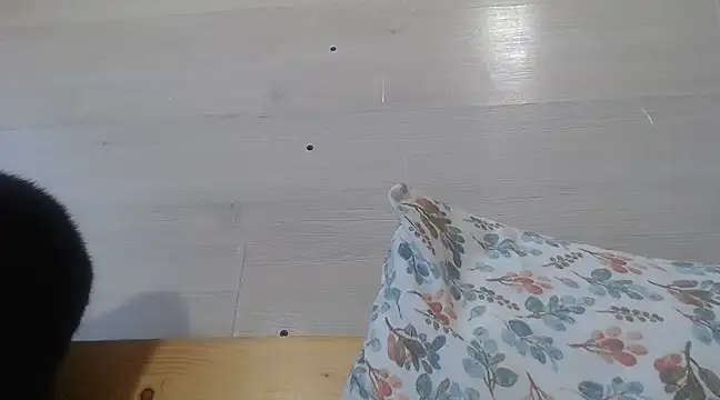 Snapshot of CRISTIINA37 chatting on 19, 3, 2025 CRISTIINA37 online show from 19, 3, 2025