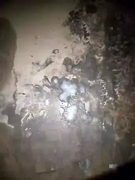 Rahul sharma horny online show from 28, 12, 2024