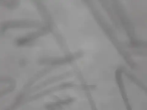 shikokichi55 online show from 3, 3, 2025