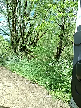 pachapeter online show from 16, 4, 2026