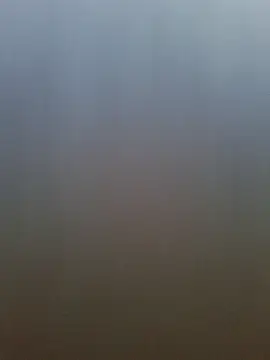 pachapeter online show from 20, 4, 2026