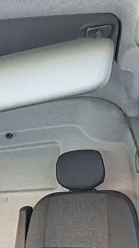 pachapeter online show from 17, 10, 2025