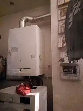 pachapeter online show from 10, 2, 2025