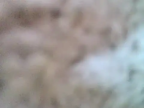 DaddyQuimHot online show from 9, 2, 2025