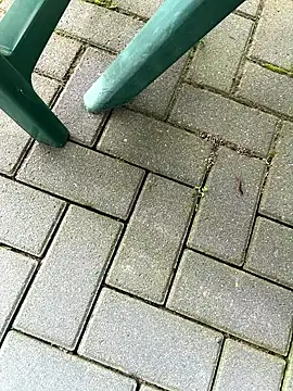 Snapshot of DurableFog chatting on 1, 4, 2026 DurableFog online show from 1, 4, 2026