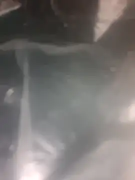 Puffgettingstuffed online show from 20, 12, 2025