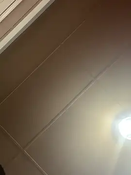 Snapshot of Papinine6 chatting on 7, 4, 2026 Papinine6 online show from 7, 4, 2026