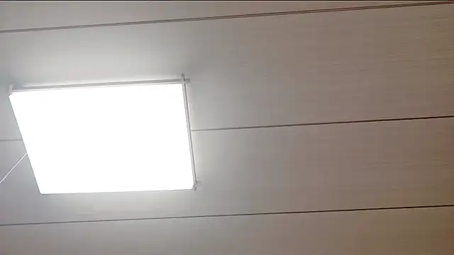 Snapshot of xxArisaxx chatting on 11, 2, 2026 xxArisaxx online show from 11, 2, 2026