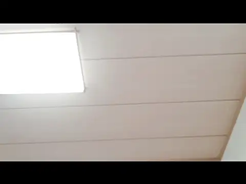 xxArisaxx online show from 29, 11, 2025