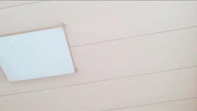 xxArisaxx online show from 28, 10, 2025