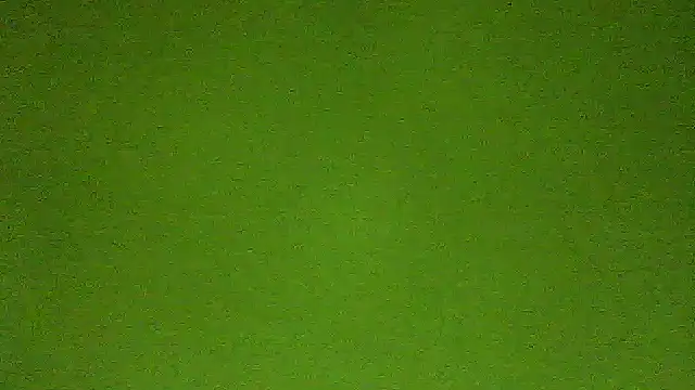 AbbyX online show from 7, 1, 2026