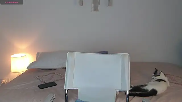 Abii 26 online show from 8, 11, 2025