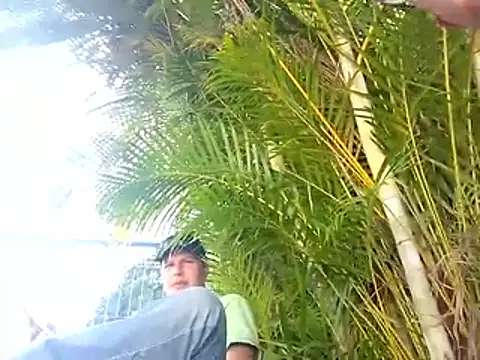 sincuenton24cmts online show from 17, 1, 2026