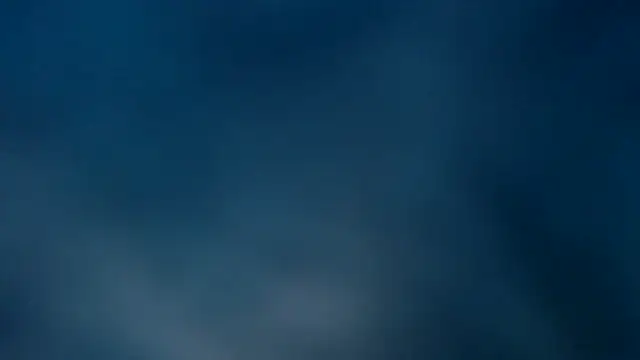 chika hellar online show from 12, 1, 2026