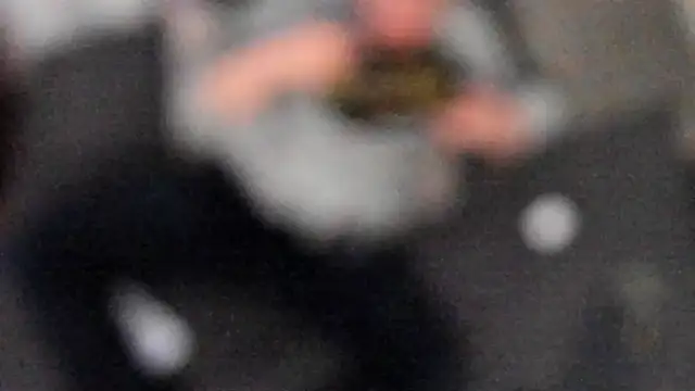 stillwild online show from 6, 2, 2025