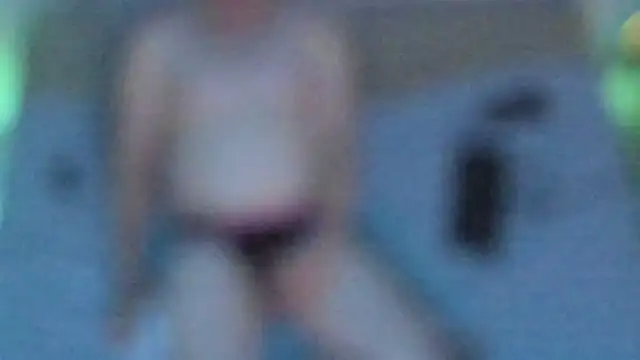 stillwild online show from 9, 11, 2025