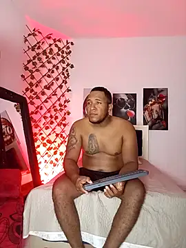 Snapshot of ARTHUR_MINI chatting on 4, 11, 2025 ARTHUR MINI online show from 4, 11, 2025