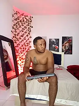 Snapshot of ARTHUR_MINI chatting on 3, 11, 2025 ARTHUR MINI online show from 3, 11, 2025