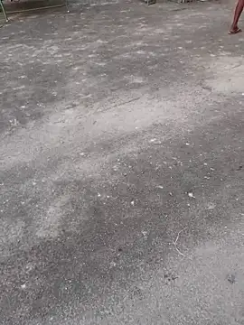 Ajith mvi online show from 1, 4, 2026