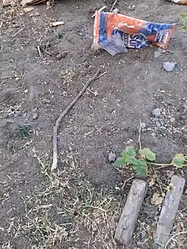 Ajith mvi online show from 8, 4, 2026