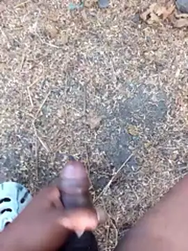 Ajith mvi online show from 4, 4, 2026