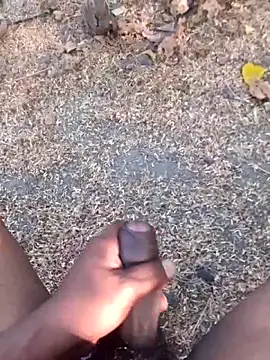 Ajith mvi online show from 29, 3, 2026