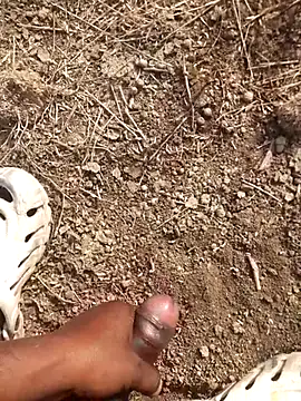 Ajith mvi online show from 18, 2, 2026