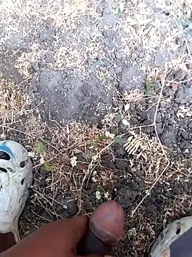 Ajith mvi online show from 14, 3, 2026