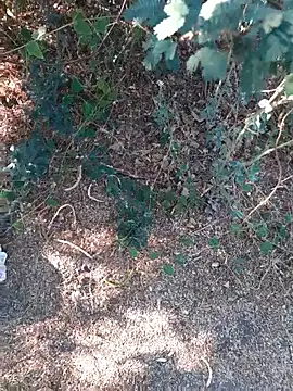 Ajith mvi online show from 26, 3, 2026