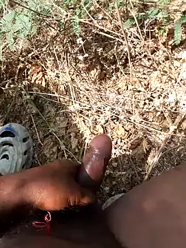 Ajith mvi online show from 24, 3, 2026