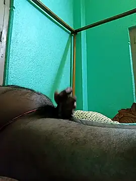 SEXYBOYBIGCOOCK online show from 12, 2, 2025