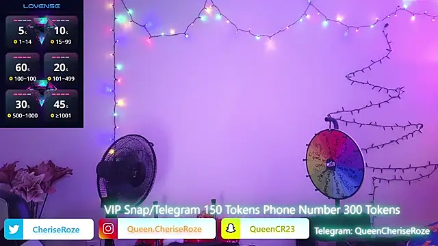 Snapshot of cheriserozequeen chatting on 22, 12, 2024 cheriserozequeen online show from 22, 12, 2024