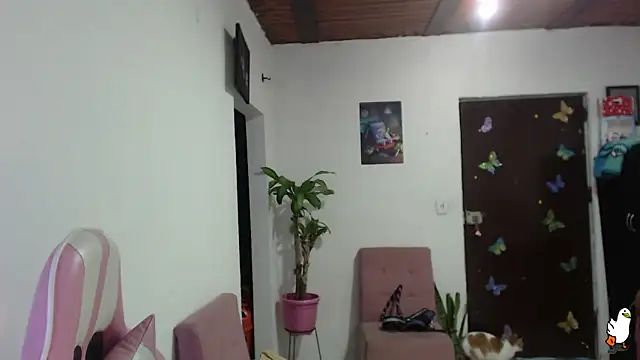 Snapshot of littleangel1_m chatting on 2, 2, 2026 littleangel1 m online show from 2, 2, 2026