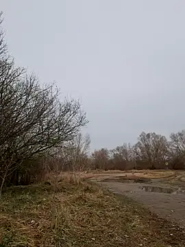 Zeefy online show from 11, 3, 2025