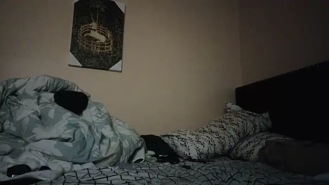 hailzeffn online show from 7, 11, 2025