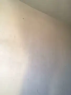 Colombianbbc  online show from 11, 3, 2025