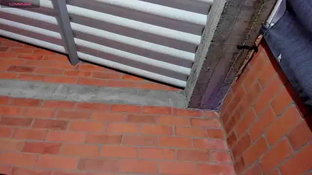 sainix  online show from 4, 12, 2024