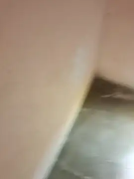 fkoito online show from 15, 11, 2025