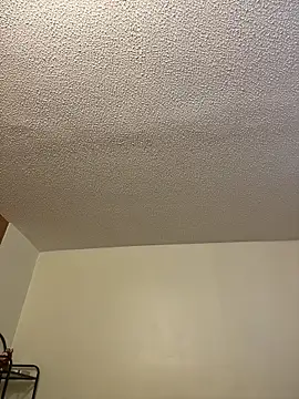 Megan Rodrigo online show from 4, 4, 2026