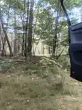 niesmialy39oon online show from 15, 9, 2025