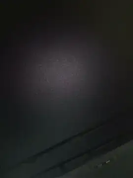 niesmialy39oon online show from 11, 9, 2025