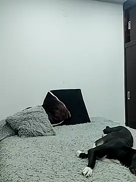 Mariam Gomezxxx online show from 13, 2, 2026