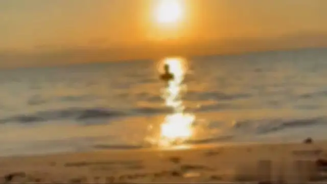 Liam Taylor online show from 6, 11, 2025