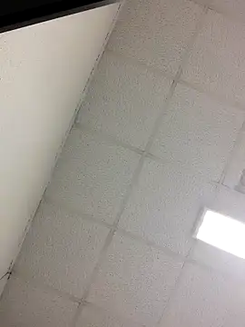 Fred bo online show from 24, 10, 2025