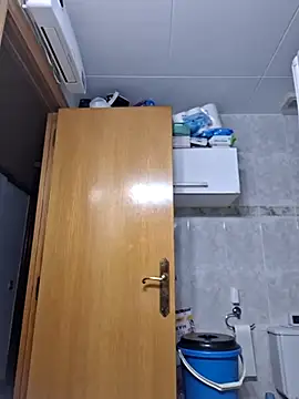 Javier bear online show from 14, 11, 2025