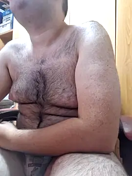 Javier bear online show from 5, 10, 2025